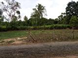 Land for Sale in Kuliyapitiya- Anandagiri Garden