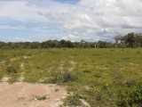 50 to 100 acres land for sale