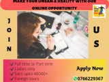 Online Consultant - Part time/Full time