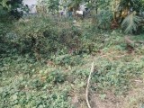 Land for Sale in Panagoda - Godagama