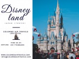 Amazing Disneyland Tour  Package With Provides Any Type of Travel Insurance
