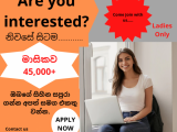 Online consultant- (Full/ Part time)