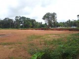 Code  3431 Land for sale Horana