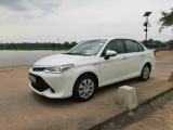 Toyota  KDH | 14 Seater  Ac Van  | Dolpin Van  |  Mini Van for Hire and Tour Service  in sri lanka cab service