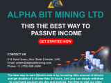 how to invest in bitcoin and make money Alphabitmining.com