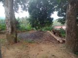 Land for Cultivation or Residential in Matara