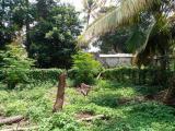 Code 3550 Land for sale Maharagama