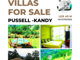 Stunning designed Luxury villa for sale