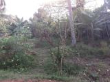 15 perches Land for sale in Boralesgamuwa