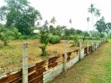 Land For Sale In Pannala