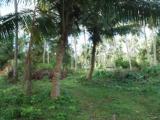Code 3523 Land for sale Negombo