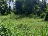 Land for sale in Kandana.