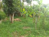 15 perches Land for sale in Kuliyapitiya