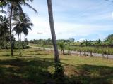Code 3656 Land for sale Horana