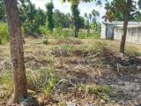 Land for Sale in Pannala New Town
