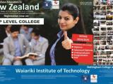Diploma in Information Technology - Semester II